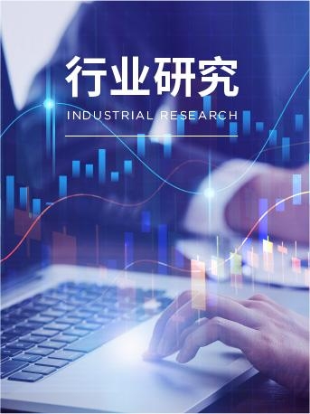 行业研究